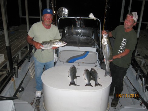 Nice Striped Bass